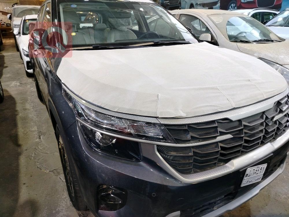 کیا سێلتۆس